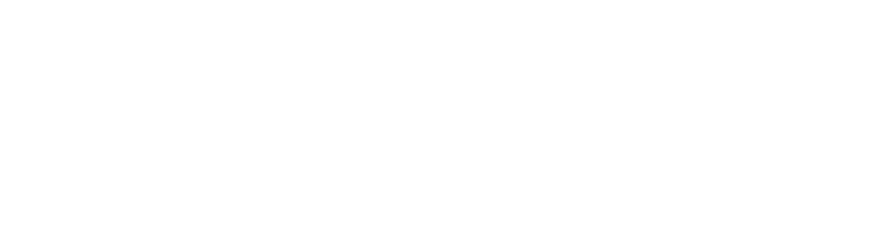 双引資訊